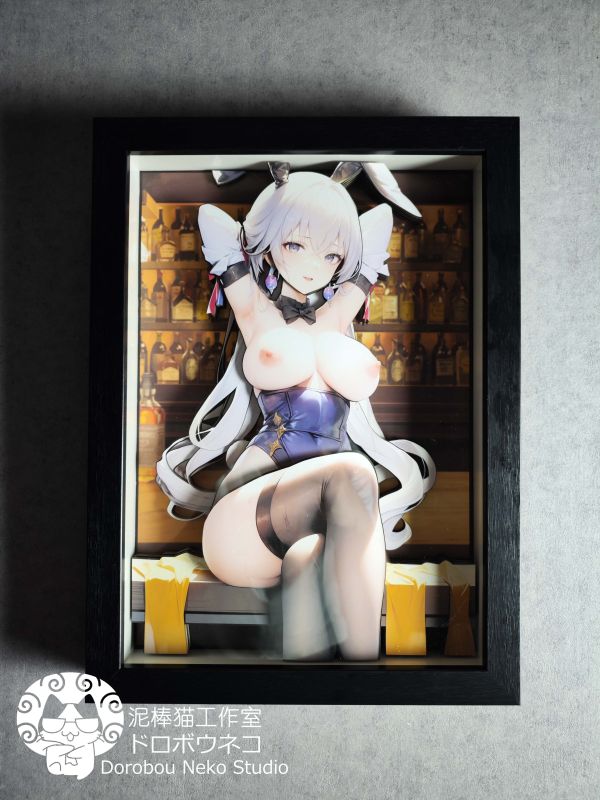 【海外代購】【46CM】泥棒貓工作室 DSMG-016 崩壞 星穹鐵道 布洛尼亞 可月兌立體畫 