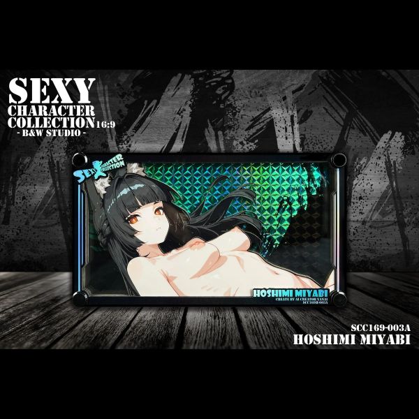 【R18-海外代購】黑白畫映 B&W Sexy Character Collection 16:9 003女性角色鐳射卡磚 星見雅 