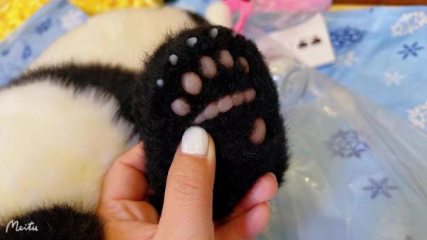 【海外代購】【50CM】品牌熊貓工廠 3月齡熊貓 多款 