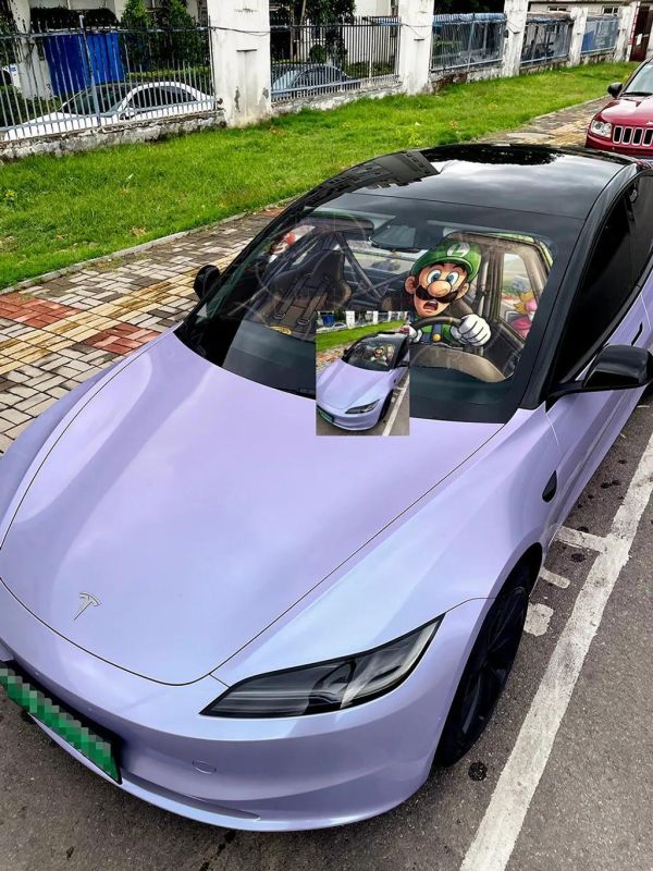 【海外代購】千鳥社 《汽車前擋遮陽-馬力歐、路易吉》 