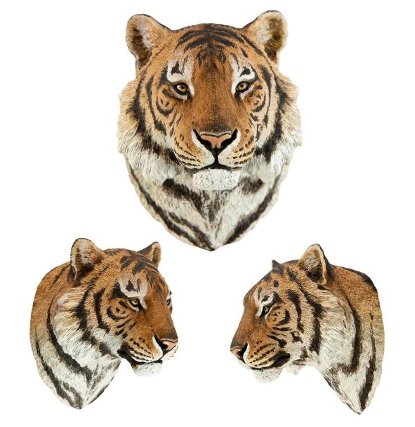 【預定】動物星雲 世界動物大圖鑑第2彈 