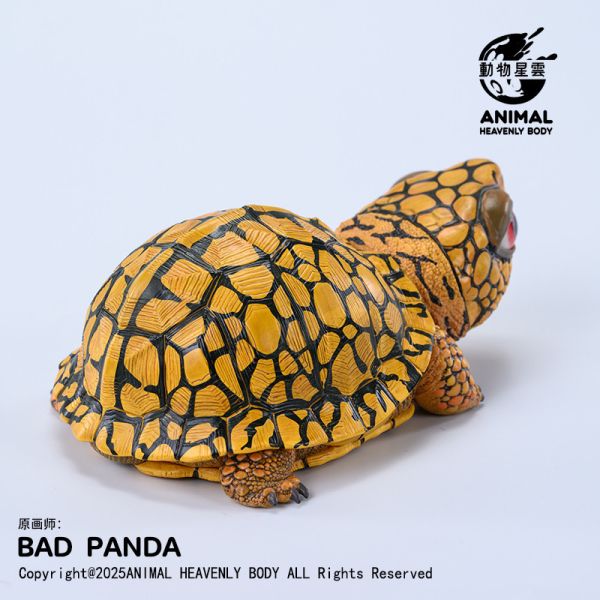 【海外代購】動物星雲 BADPANDA Let‘s 爬體系列第三彈 東部箱龜 