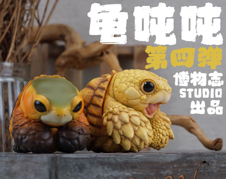 【預定】博物志 2025噸噸動物園龜4 蘇卡達／黃緣 