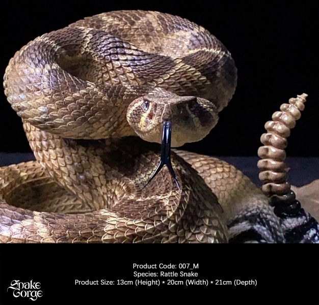 【預定】萬蛇谷 snakegorge 007_M 西部菱斑響尾蛇 