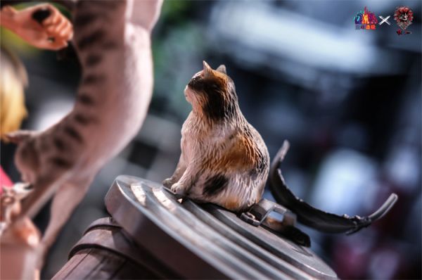 【已截單/代購洽客服】Climax 登峰造極 Weare A Design wad 排球少年 垃圾場決戰 劇場版 