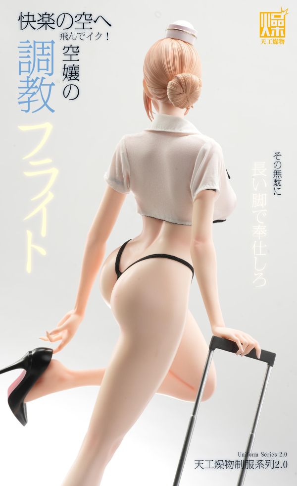 【預定】天工燥物 2.0系列 《空服員2.0》 