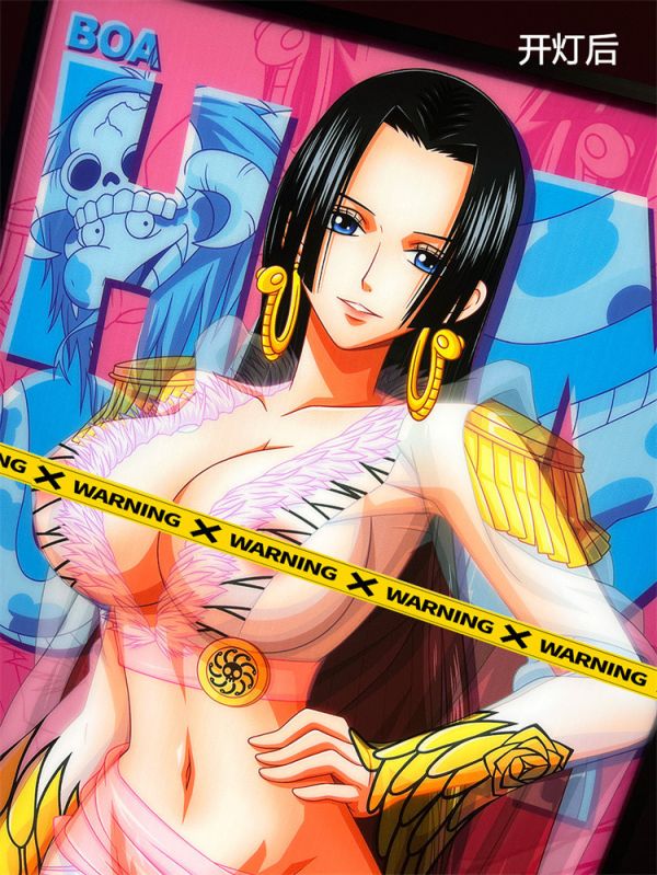 【海外代購】神秘畫廊 海賊王 光導 月兌 白衣 女帝 漢庫克 畫 