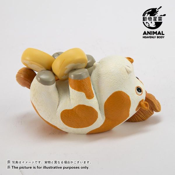 【海外代購】動物星雲 馬年限定係列 