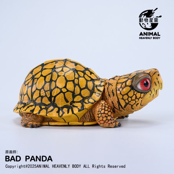 【海外代購】動物星雲 BADPANDA Let‘s 爬體系列第三彈 東部箱龜 