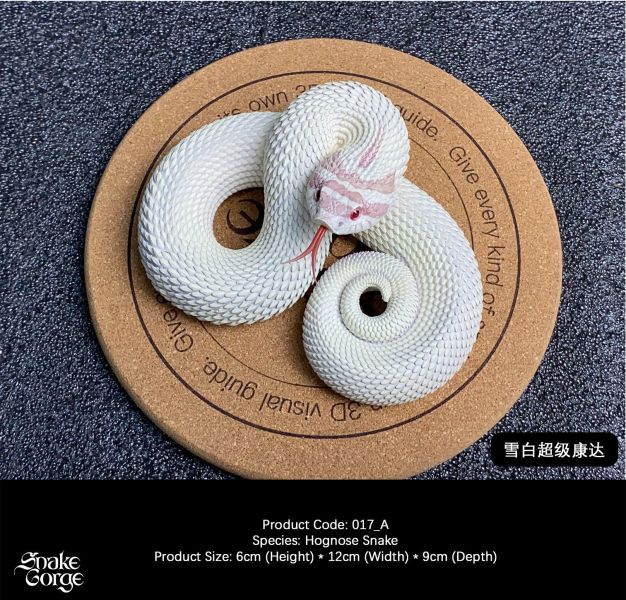 【預定】萬蛇谷 snakegorge 017 豬鼻蛇 