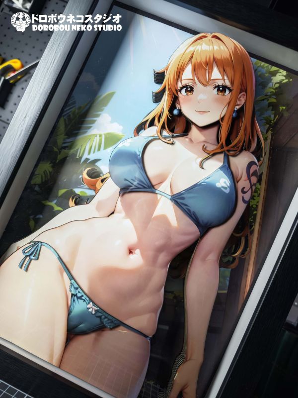 【海外代購】泥棒貓 DSMG-071 娜美 立體裝飾畫 