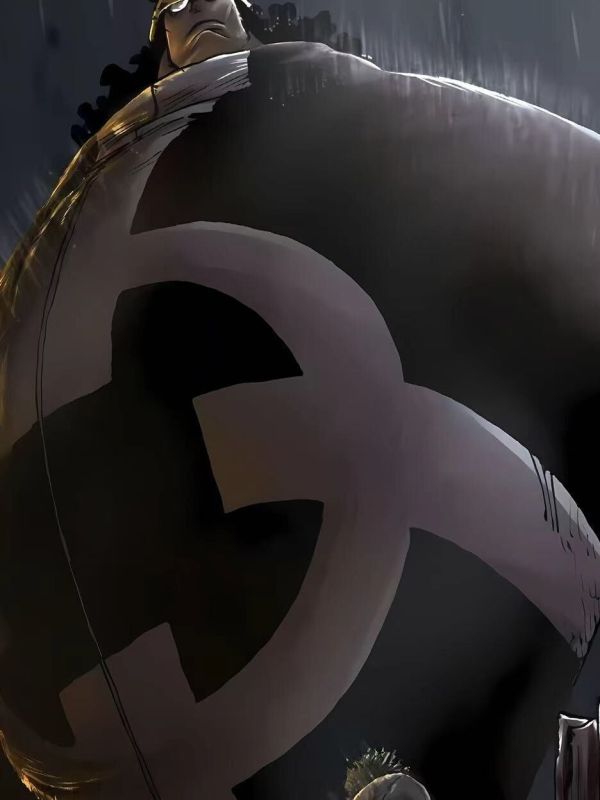 【海外代購】星空  索隆vs大熊 裝飾畫 