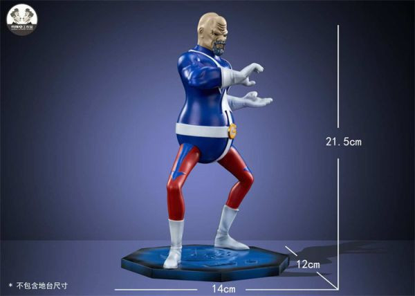 【系列代購】克隆人 clone 小唐家族系列代購 