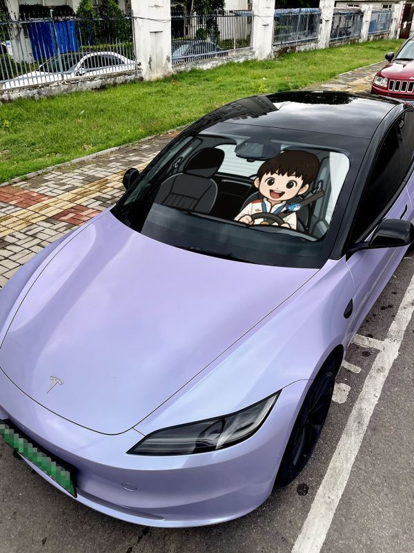 【海外代購】千鳥社 《汽車前擋遮陽-莎莎和大頭》孫穎莎王楚欽乒乓球 