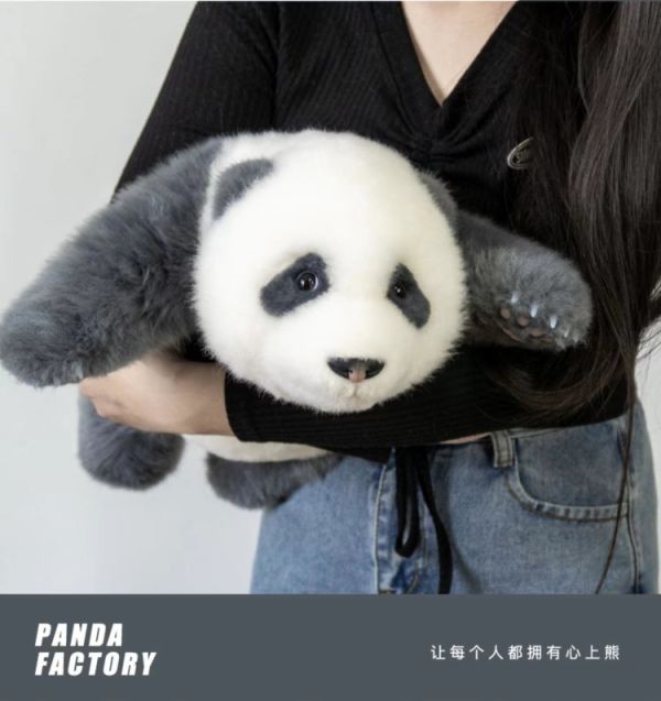【海外代購】【50CM】品牌熊貓工廠 3月齡熊貓 多款 
