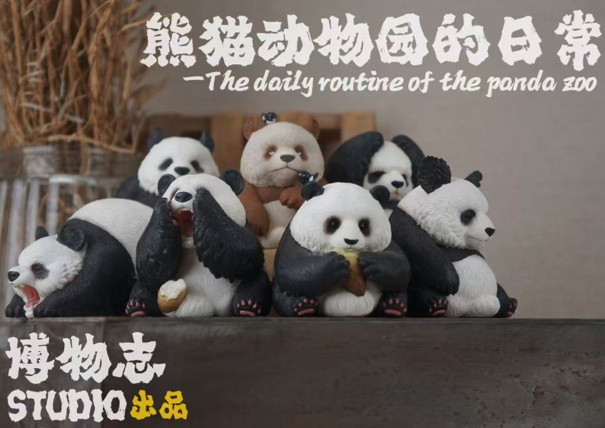 【預定】博志物 2025熊動貓物園的日常 