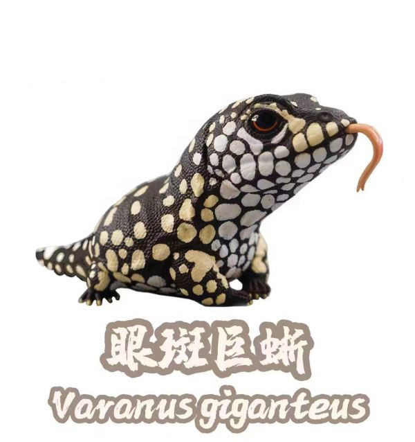 【海外代購】【7.4-10.4CM】博物誌 蜥蜴王國第2彈強襲來襲 