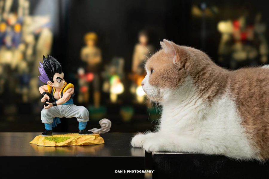 【海外代購】拼到底 悟天克斯 