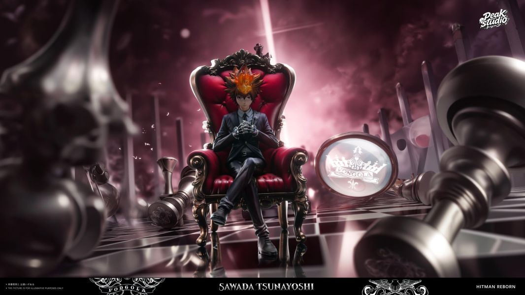 【預定】Peak 彩虹之子 沢田綱吉 Sawada Tsunayoshi 