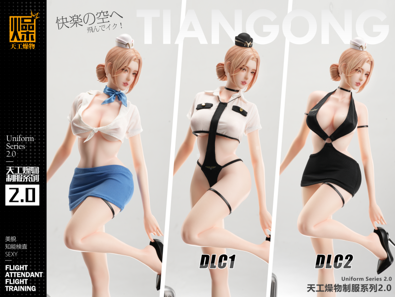 【預定】天工燥物 2.0系列 《空服員2.0》 