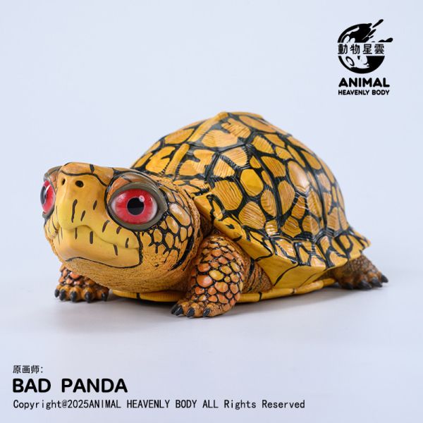 【海外代購】動物星雲 BADPANDA Let‘s 爬體系列第三彈 東部箱龜 