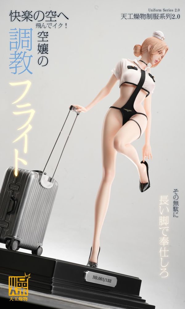 【預定】天工燥物 2.0系列 《空服員2.0》 