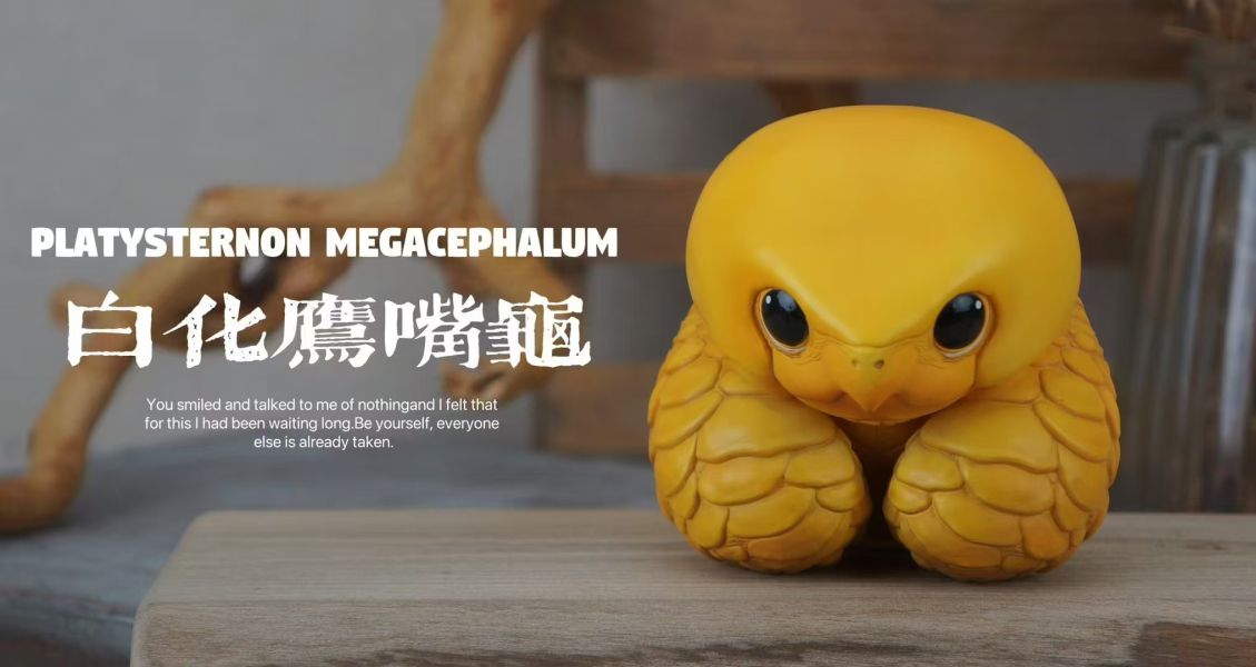 【海外代購】博物志 2024噸動噸物園龜2 第2彈 鷹龜嘴和豬鼻龜 