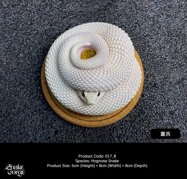 【預定】萬蛇谷 snakegorge 017 豬鼻蛇 