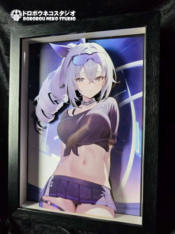 【海外代購】泥棒貓 DSRL-025 銀狼 立體裝飾畫 