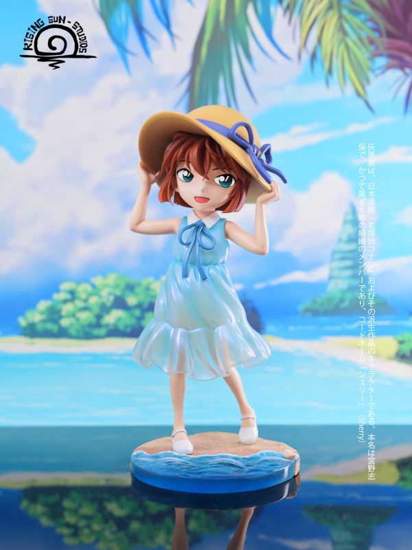 【預定】rs 沙灘灰原哀 