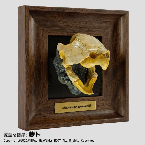 【預定】動物星雲 《框爬藝術展》系列 第1彈 