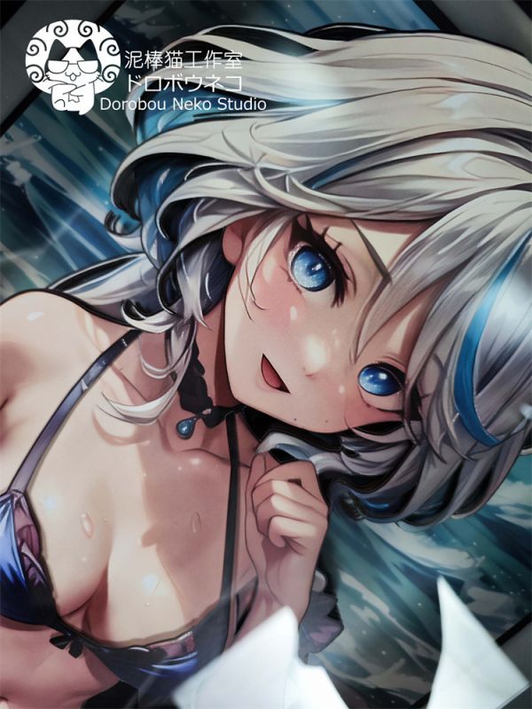 【海外代購】泥棒貓 DSRL-019 芙寧娜 可月兌立體畫 