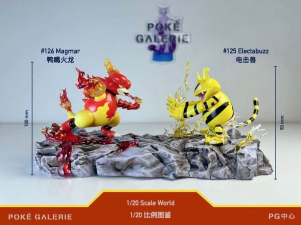 【預定】PG中心 玩得 電擊獸 鴨嘴火龍對戰 