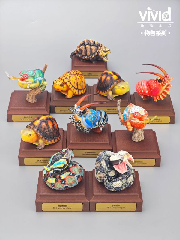 【海外代購】vivid 維物主義 物色系列 犀噝蝰&加彭噝蝰 