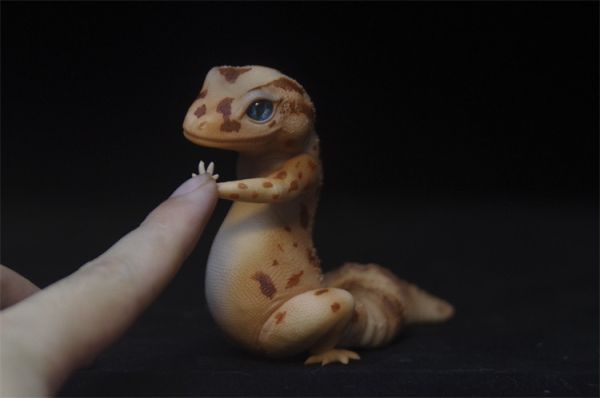 【預定】COR 原創動物系列 龍傲天 肥尾守宮 