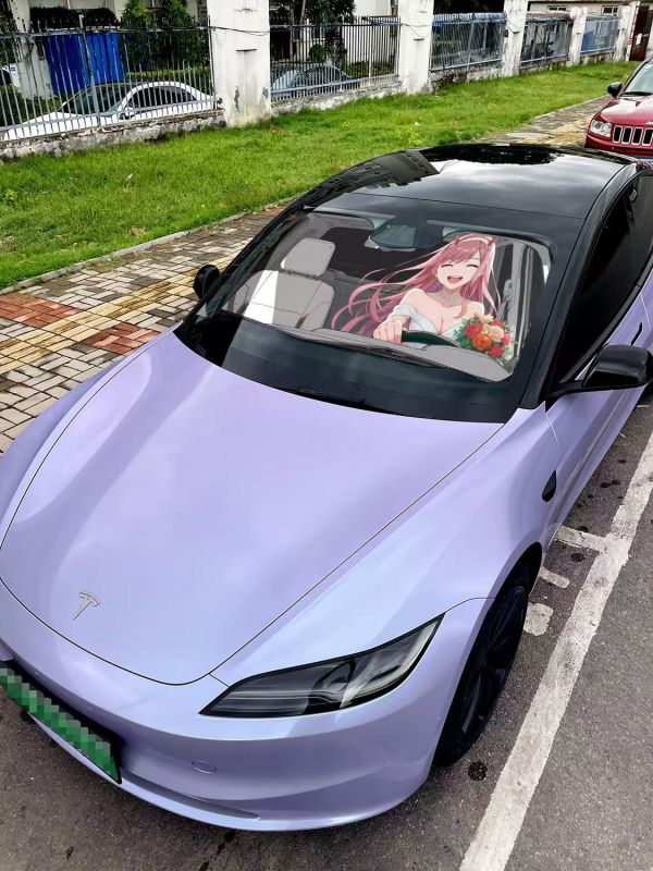 【海外代購】千鳥社 《汽車前擋遮陽－零二》 夏季汽車遮陽防曬前擋開車二次元零二02DARLING FRANXX國家隊 
