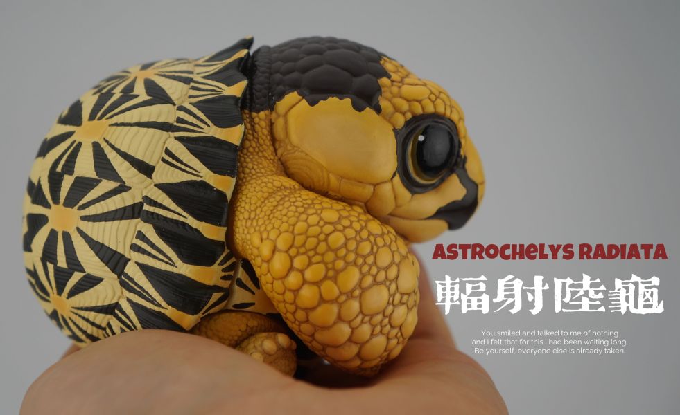 【預定】博物誌原廠 2025噸噸動物園龜6彈 