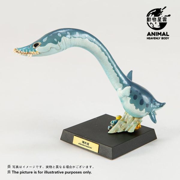 【預定】動物星雲 圓古生物 第五彈薄片龍，滄龍，滑齒龍（限時預定全套3只贈送特典） 