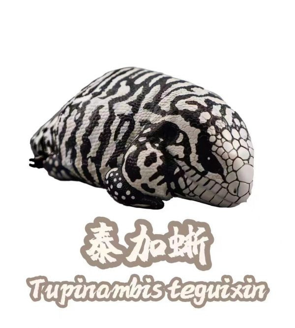 【海外代購】【7.4-10.4CM】博物誌 蜥蜴王國第2彈強襲來襲 