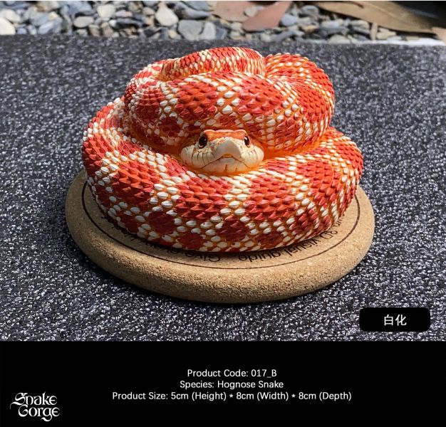 【預定】萬蛇谷 snakegorge 017 豬鼻蛇 