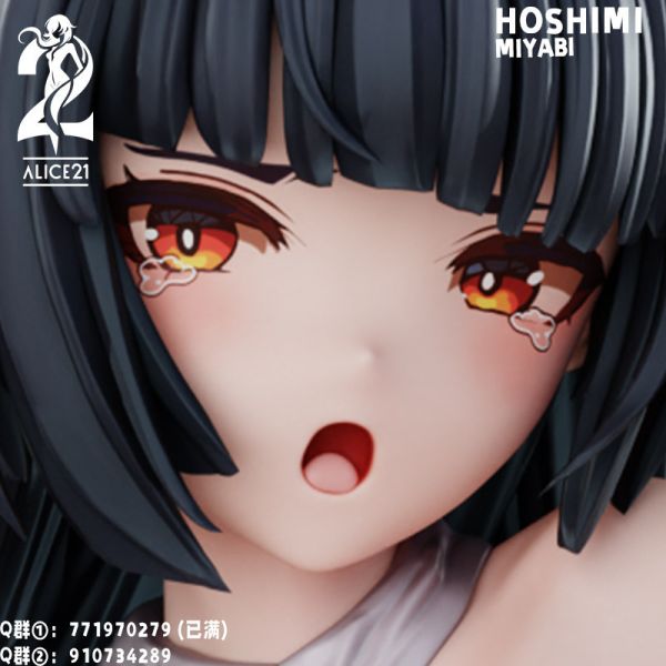 【已截單/代購洽客服】Alice21 墨絲狐戀 星見雅 