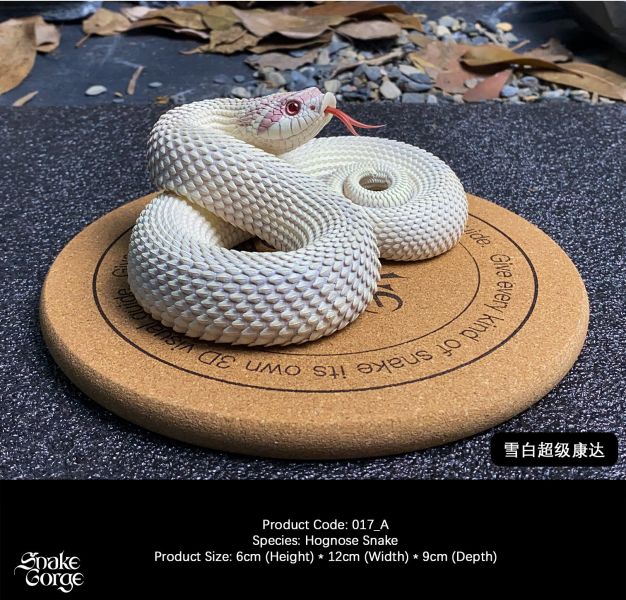 【預定】萬蛇谷 snakegorge 017 豬鼻蛇 