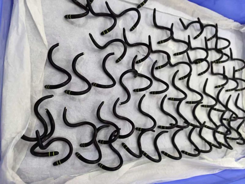 【海外代購】WF2024 小綠 