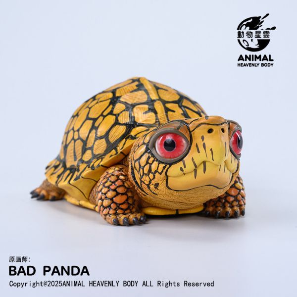 【海外代購】動物星雲 BADPANDA Let‘s 爬體系列第三彈 東部箱龜 