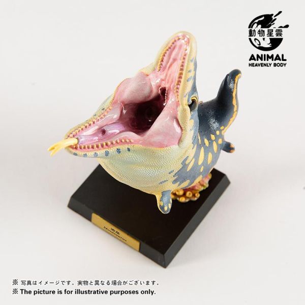 【預定】動物星雲 圓古生物 第五彈薄片龍，滄龍，滑齒龍（限時預定全套3只贈送特典） 