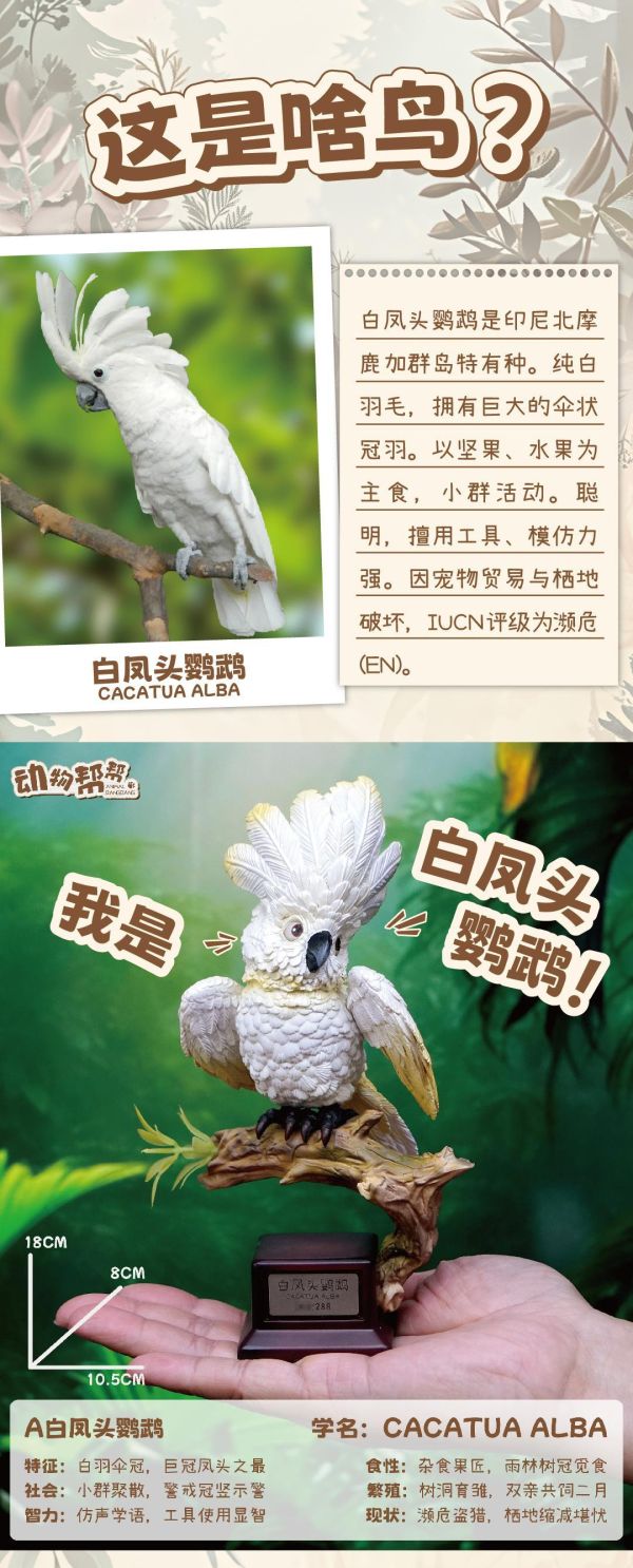 【海外代購】傑刻動漫 動物幫農場 啥鳥？系列第六彈 白鳳頭&黑鳳頭鸚鵡 