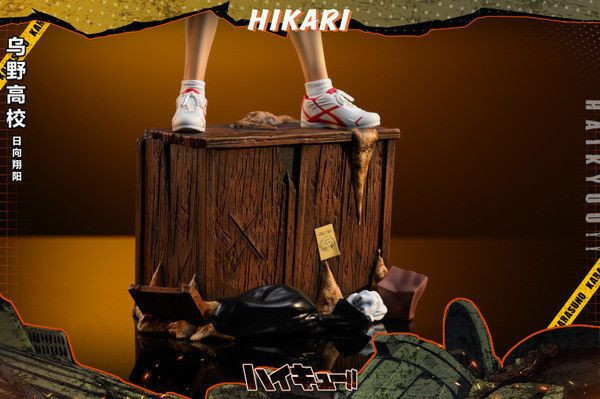 【台灣現貨】HIKARI 烏野站姿共鳴 第二彈 小太陽 