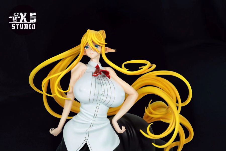 『已截單-請洽客服報價代購』TXS 賽爾特蕾婭魔物娘的相伴日常 
