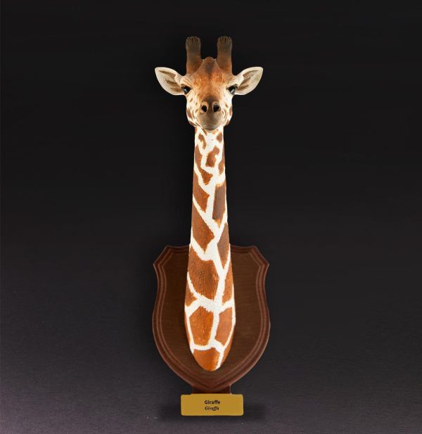 【預定】動物星雲 世界動物大圖鑑第2彈 