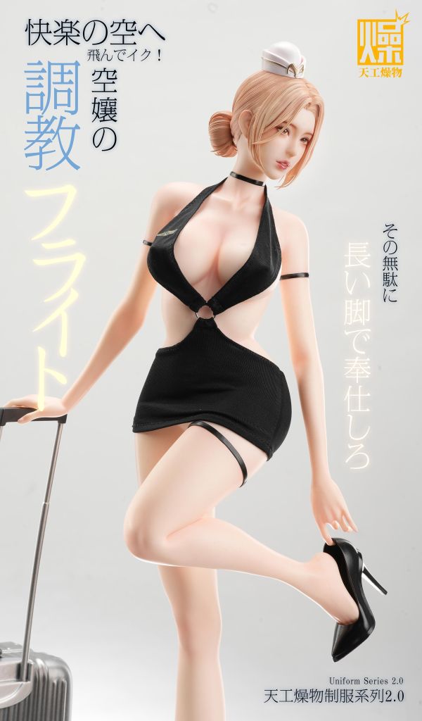 【預定】天工燥物 2.0系列 《空服員2.0》 